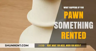 Pawning Rented Items: Legal Consequences and Risks Explained