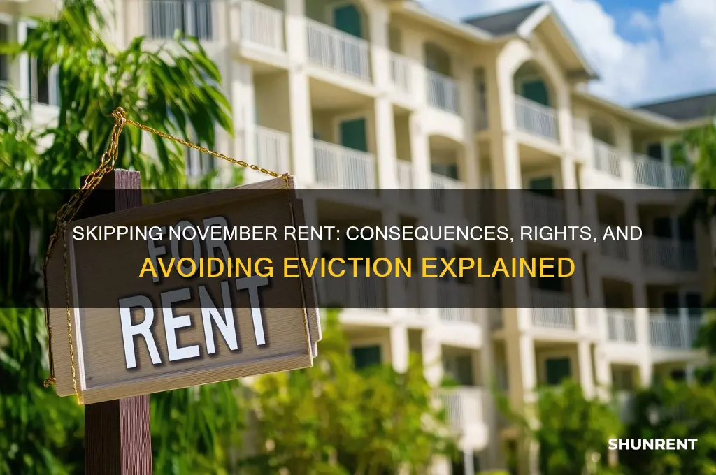 what happens if you skip rent for november
