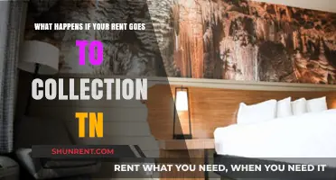 Rent in Collection TN: Consequences, Rights, and Resolving Delinquent Payments