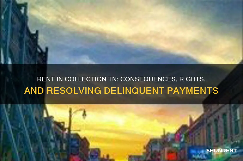 what happens if your rent goes to collection tn
