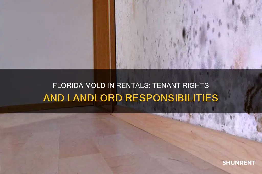 what happens in florida when rents find mold