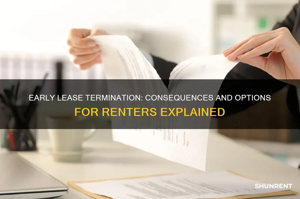 what happens is i ternimate a rent less early