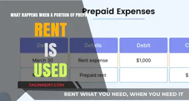 Prepaid Rent: Understanding Partial Usage and Implications