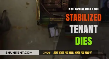 What Happens to Rent Stabilized Leases After Tenant Death?