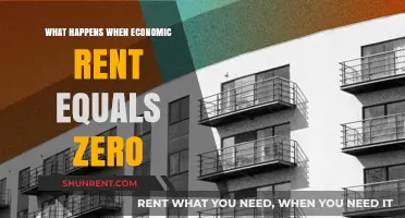 Zero Economic Rent: Implications for Markets and Resource Allocation