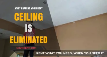 Removing Rent Ceilings: Impact on Housing Market and Tenants