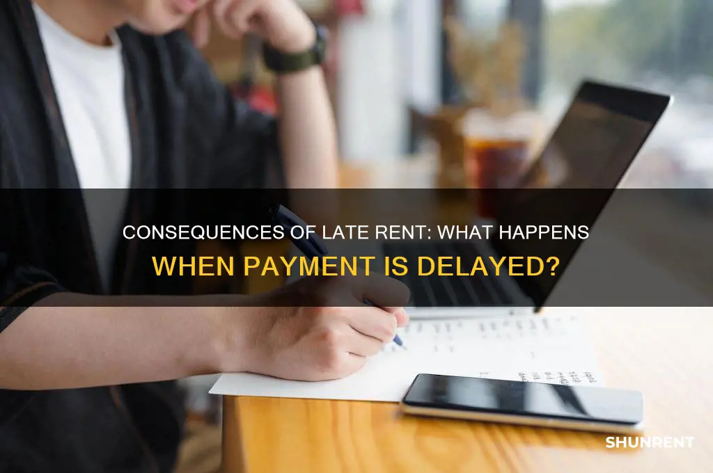 what happens when rent is 1 day laye