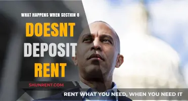 Section 8 Rent Delays: Consequences for Tenants and Landlords