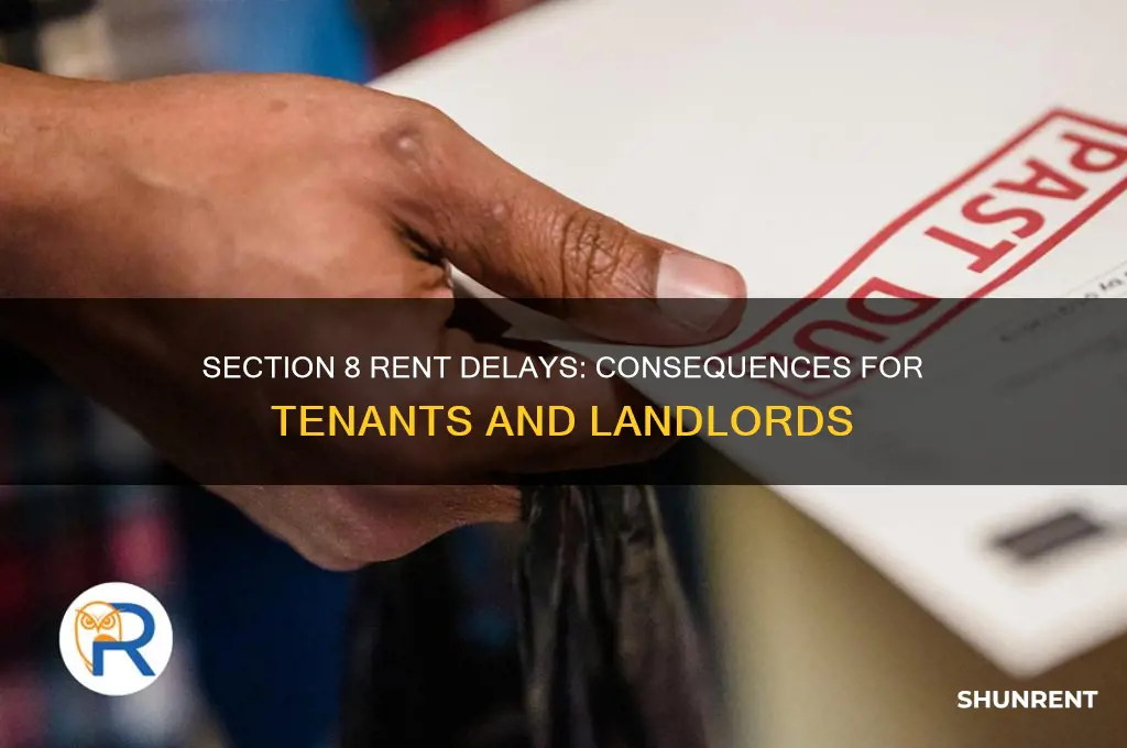 what happens when section 8 doesnt deposit rent