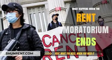 Rent Moratorium's End: Impacts on Tenants, Landlords, and Housing Stability