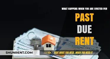 Evicted for Past Due Rent: Understanding the Consequences and Next Steps