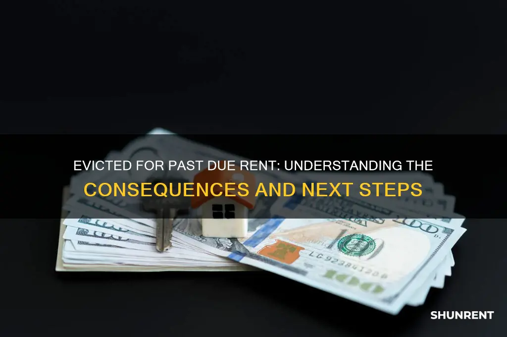 what happens when you are evicted for past due rent
