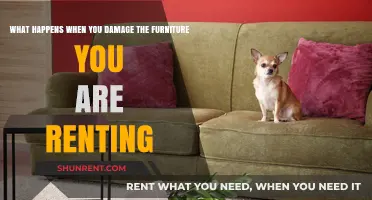 Renting Furniture? Understand Consequences of Damage and Repair Responsibilities