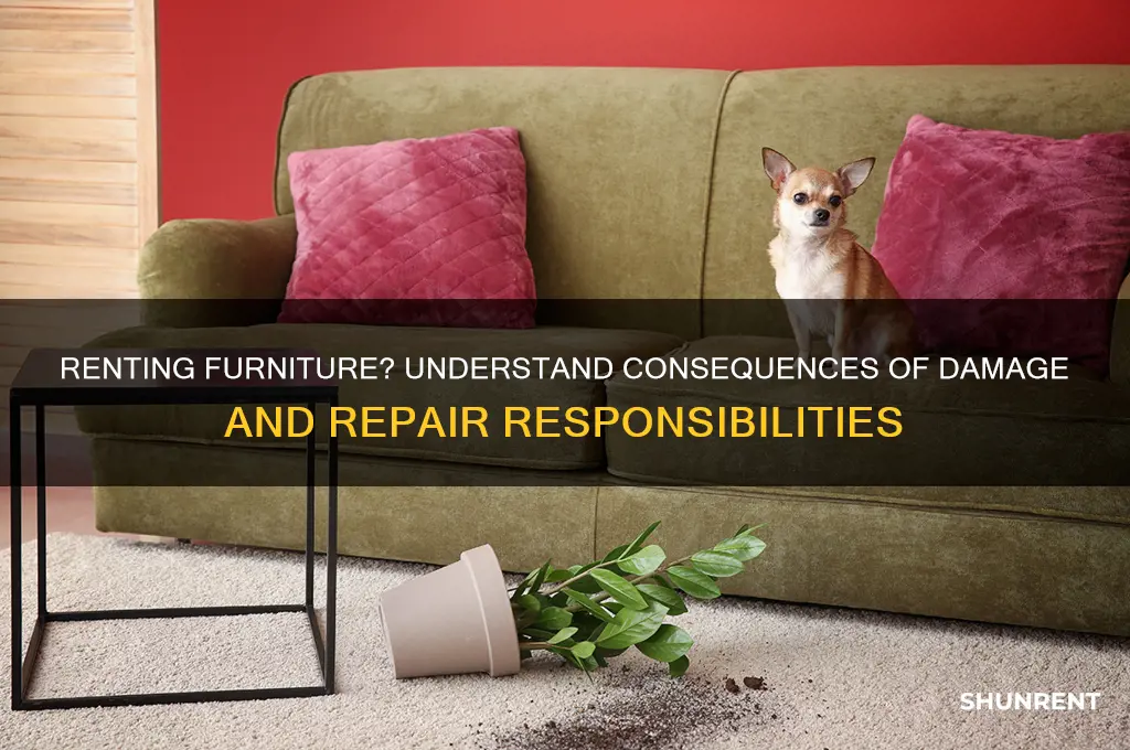 what happens when you damage the furniture you are renting