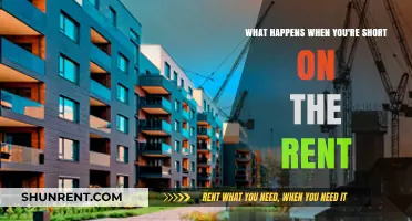 Facing Rent Shortfall: Consequences and Solutions for Tenants in Crisis