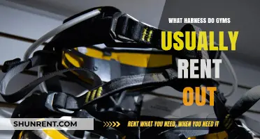 Gym Rental Harnesses: Types, Safety, and Usage Explained