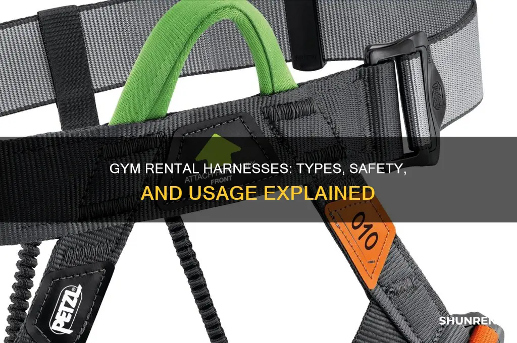 what harness do gyms usually rent out