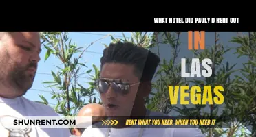 Pauly D's Las Vegas Takeover: Which Hotel Did He Rent Out?