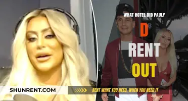 Pauly D's Exclusive Hotel Takeover: Where He Rented Out Entire Property