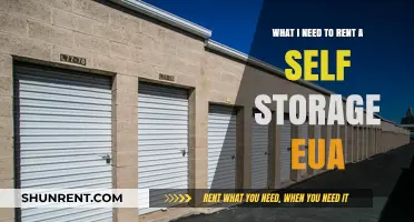 Essential Requirements for Renting Self Storage Units in the USA