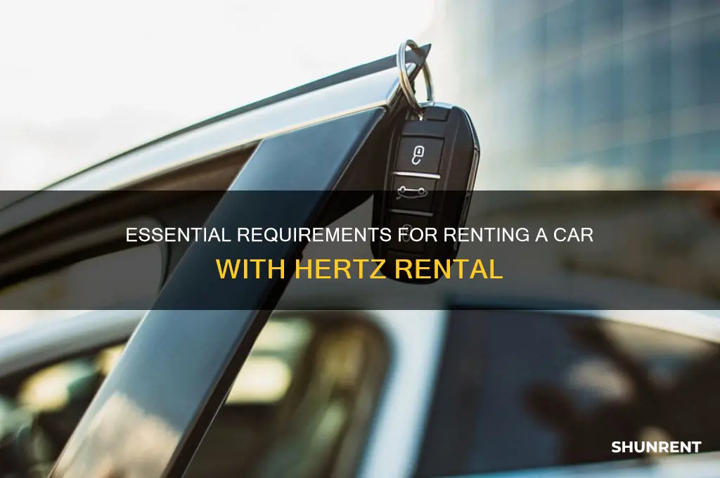 what i need to rent with hertz rental