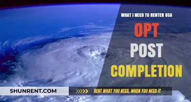 OPT Post-Completion: Essential Steps to Re-Enter the USA