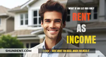 Can an LLC Survive Solely on Rental Income? Exploring the Possibilities