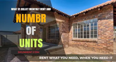 Maximizing Rental Income: Units, Monthly Rent, and Profit Strategies