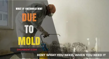 Withholding Rent for Mold: Legal Rights and Tenant Responsibilities Explained