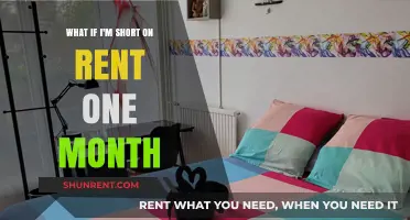 Short on Rent? Strategies to Handle a Financial Crunch This Month