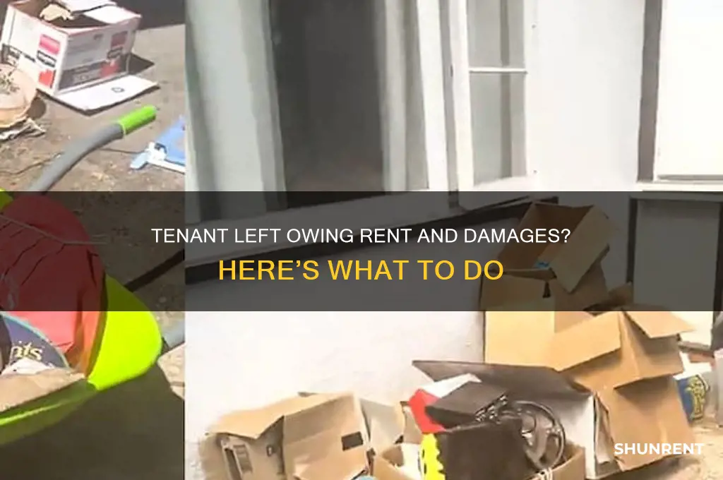 what if my tenant leaves owing back rent and damages