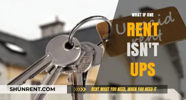 Exploring the Consequences: What If One Rent Isn't Paid?