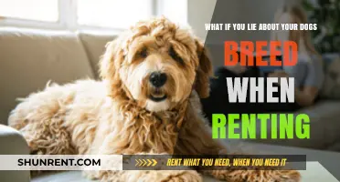 Lying About Your Dog's Breed to Rent: Risks and Consequences