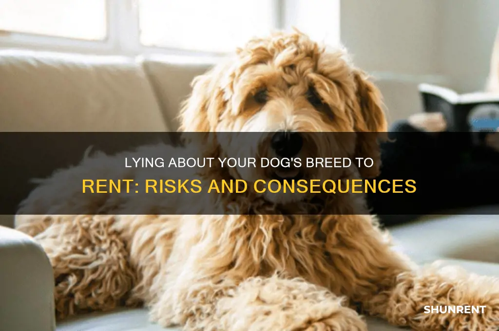 what if you lie about your dogs breed when renting