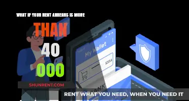 Facing Massive Rent Arrears: Solutions for Over $40,000 Debt