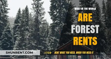 Exploring the Enigma of Forest Rents: A Comprehensive Guide