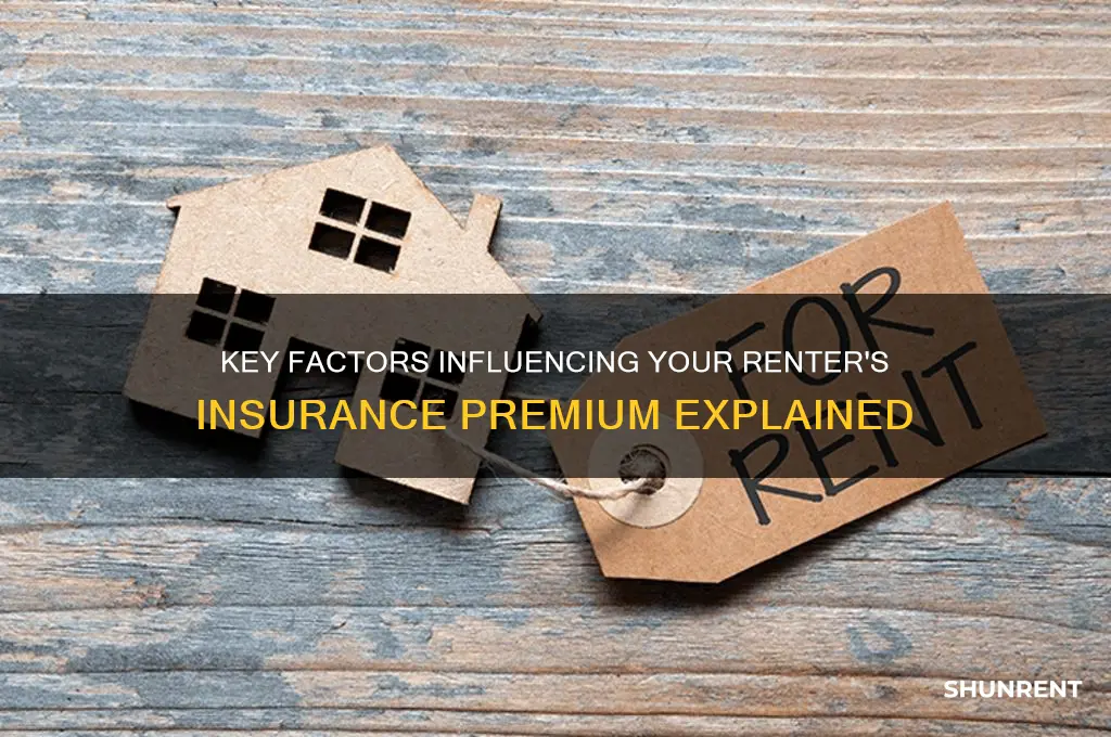 what info impacts your renter