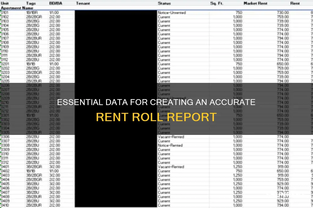 what information is needed for a rent roll