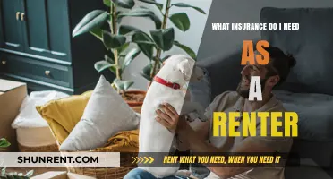 Essential Renter's Insurance Guide: Protecting Your Belongings and Liability