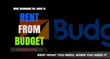 Essential Insurance Requirements for Renting a Car from Budget