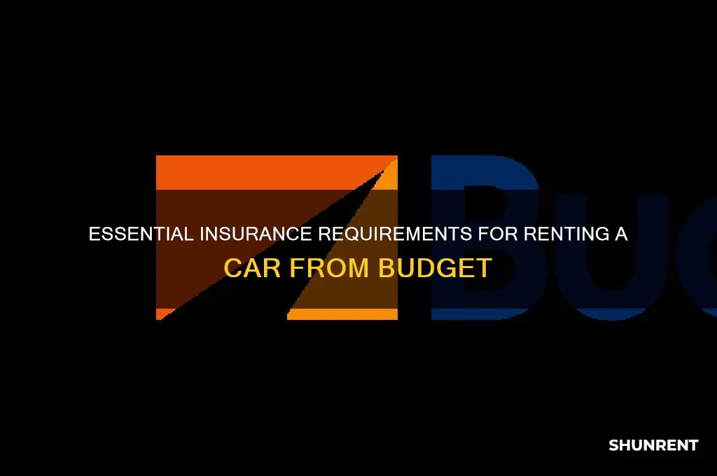 what insurance do i need to rent from budget