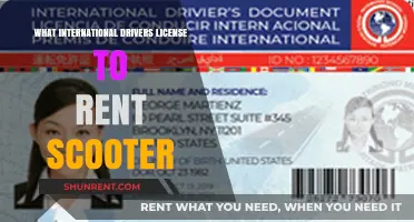 Essential Guide to International Driver's Licenses for Scooter Rentals