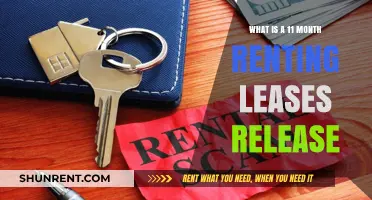 Understanding 11-Month Renting Leases: Benefits and Release Options