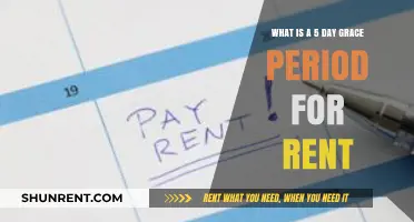 Understanding the 5-Day Rent Grace Period: What Tenants Need to Know