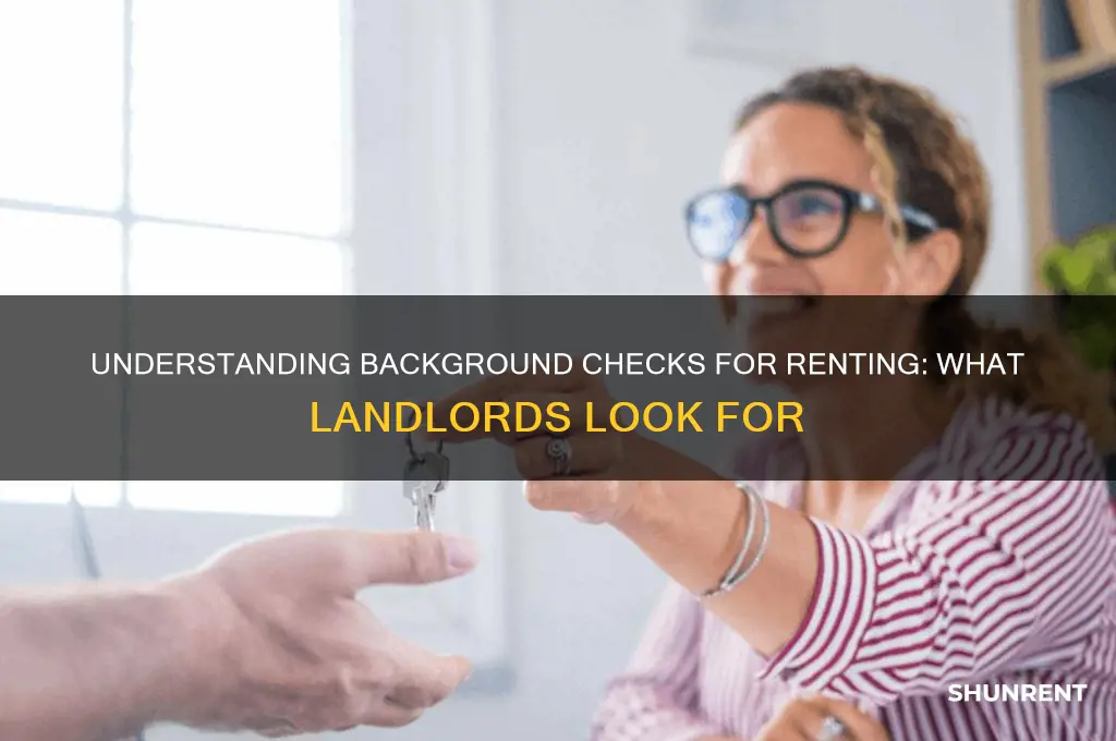 what is a background check for renting