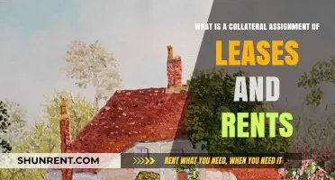 Understanding Collateral Assignment of Leases and Rents in Real Estate