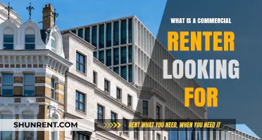 Key Considerations for Commercial Renters: A Comprehensive Guide