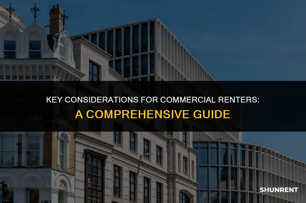 what is a commercial renter looking for