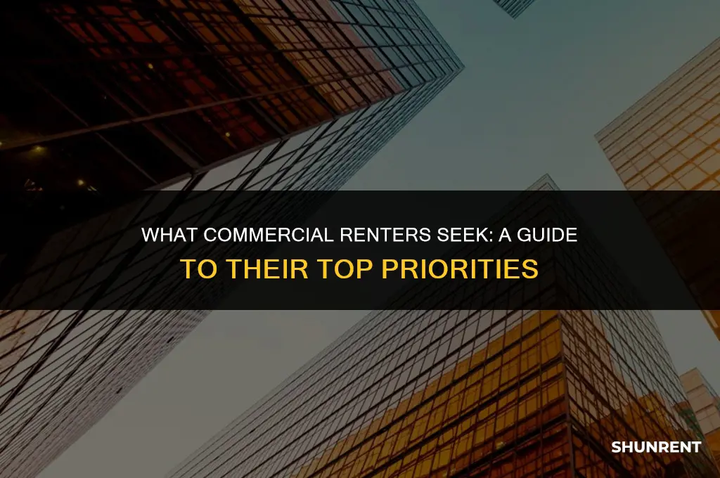what is a commerical renter looking for