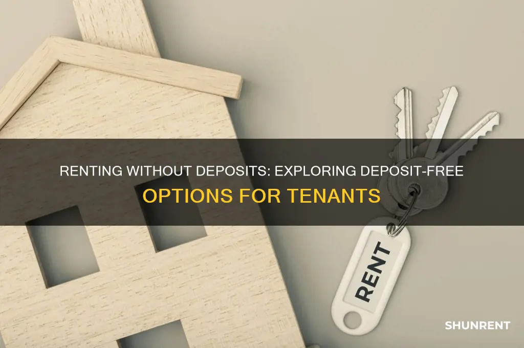 what is a deposit free option when renting